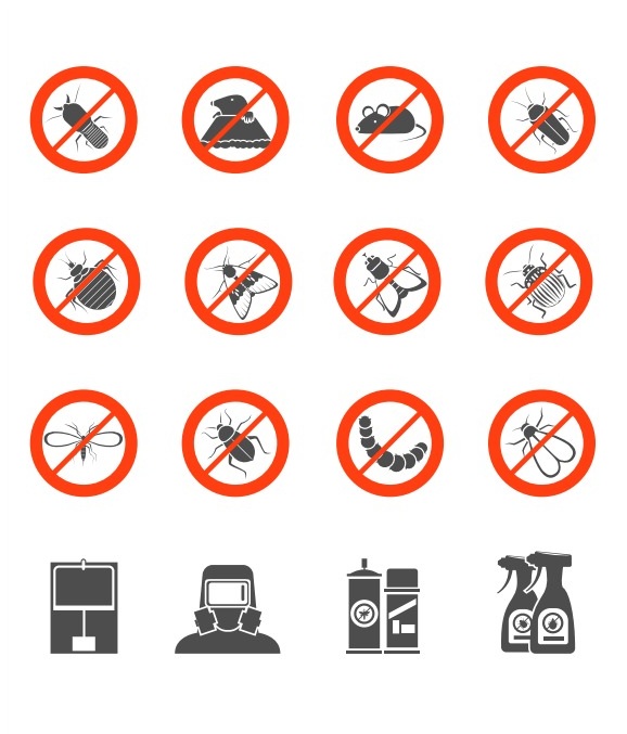 Emergency Pest Control Response