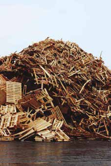 Wooden Palette Waste